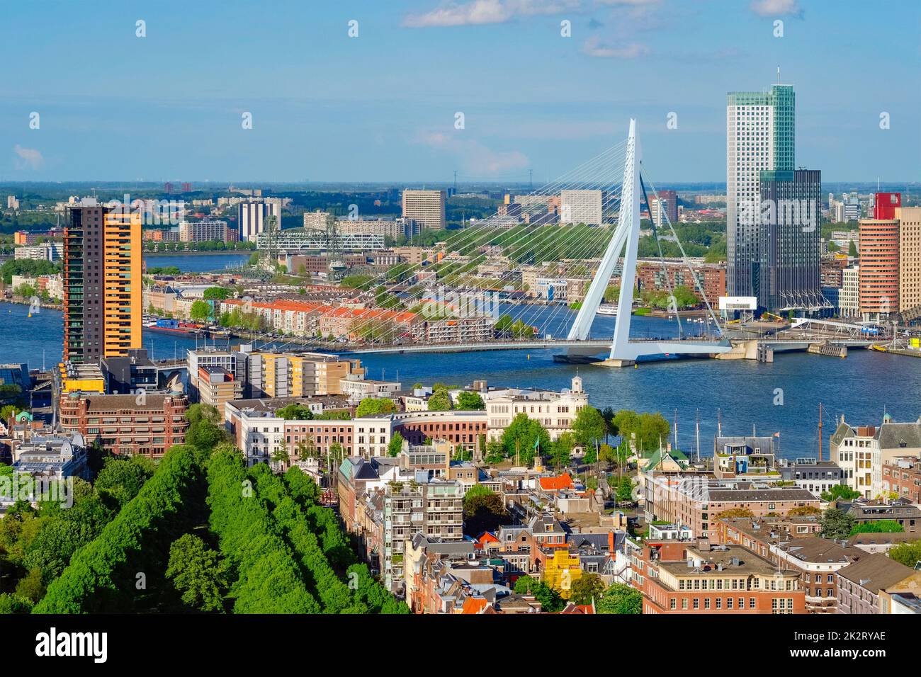 Anzeigen von Rotterdam Stadt und der Erasmus Brücke Stockfoto