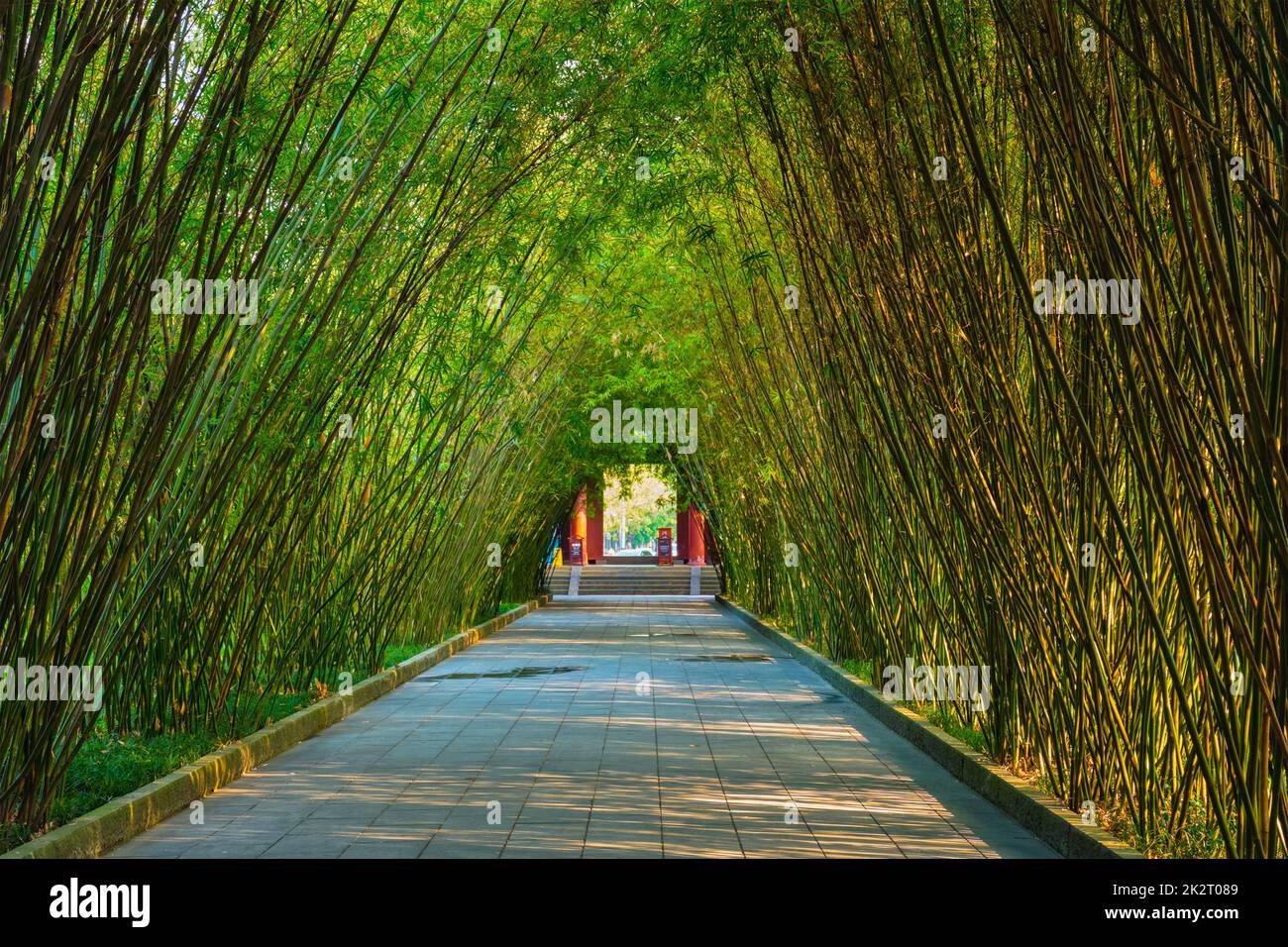 Wangjianglou wangjiang Pavillon im Park. Chengdu, Sichuan, China Stockfoto