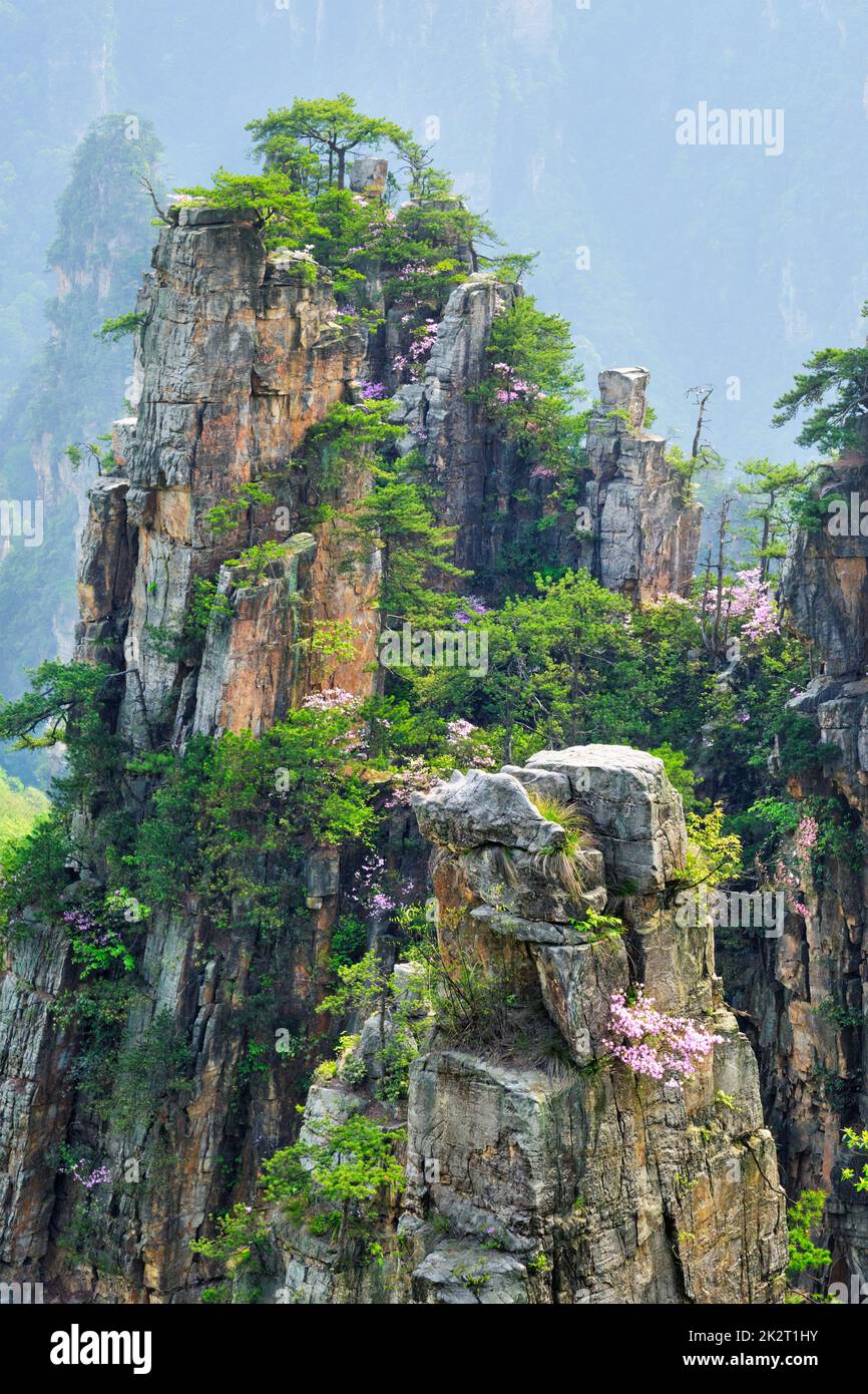 Zhangjiajie Berge, China Stockfoto