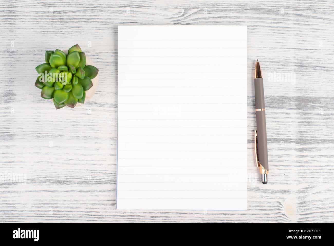 Leeres Papier mit einem Stift und einem kaktusstrukturierten Hintergrund, Brainstorming für neue Ideen, Schreiben einer Nachricht, eine Pause machen, Home Office Schreibtisch Stockfoto
