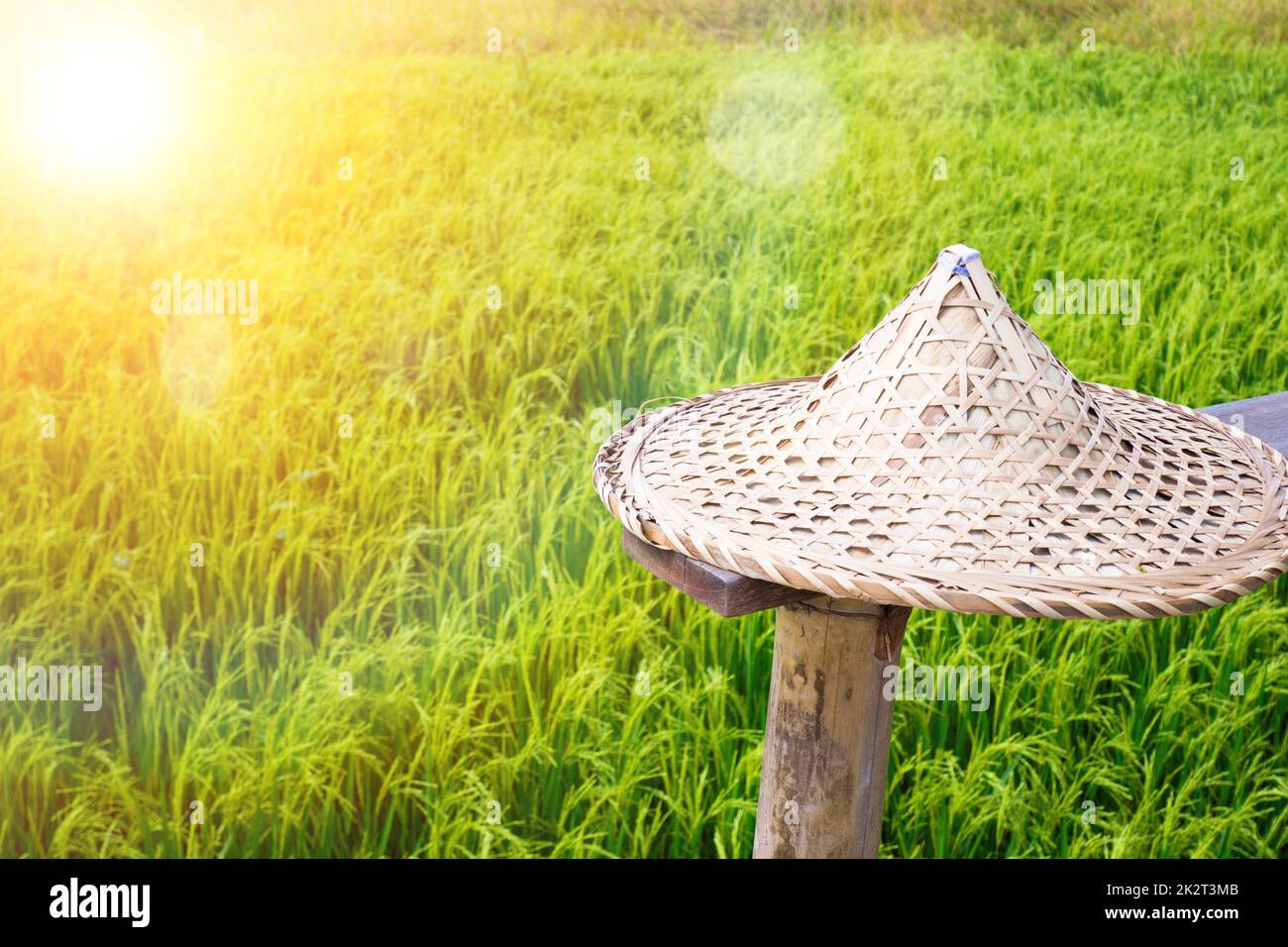 Asiatischer Reismütze oder Coolie-Hut. Sunny Hill China Guangdong Lokale Eigenschaften handgewebte große konische Hüte Sonnenhut auf der Terrasse mit grünem Reisfeld im Hintergrund Stockfoto