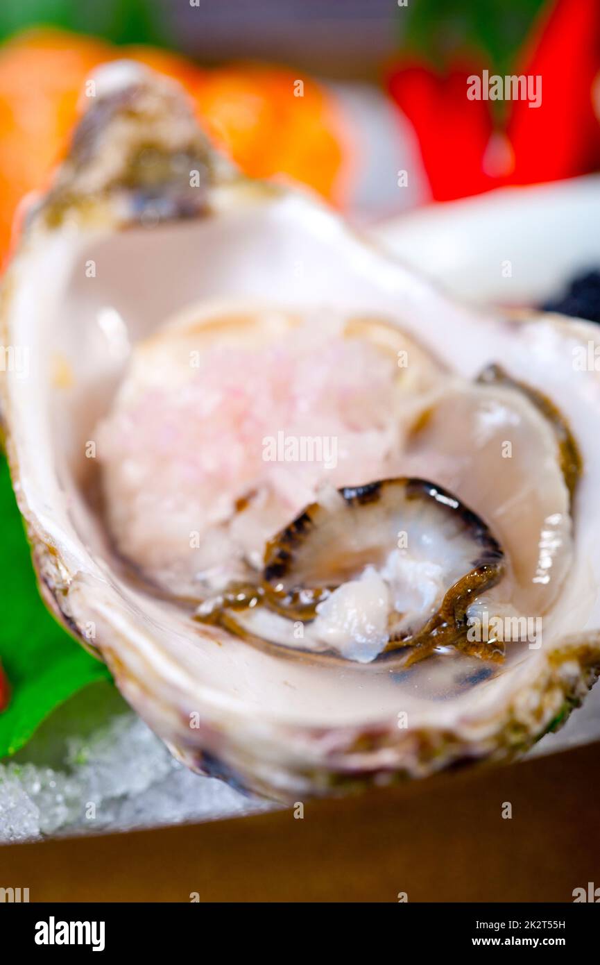 frisches Sushi Kombination Sortiment Auswahl Stockfoto
