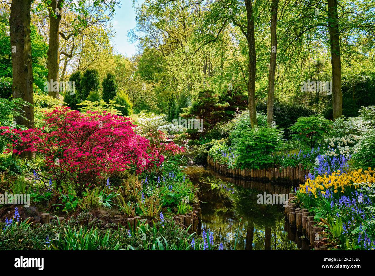 Keukenhof flower garden. Lisse, Niederlande. Stockfoto