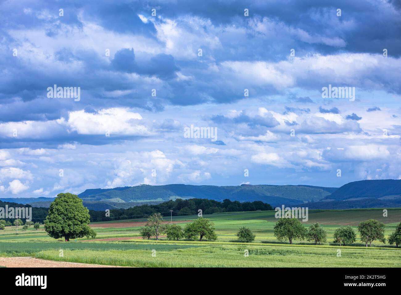 Landschaft mit Blick auf die schwäbische alb Stockfoto