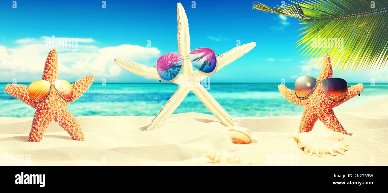 Seesterne mit Sonnenglätten am sonnigen Strand. Sommerferien Hintergrund Stockfoto