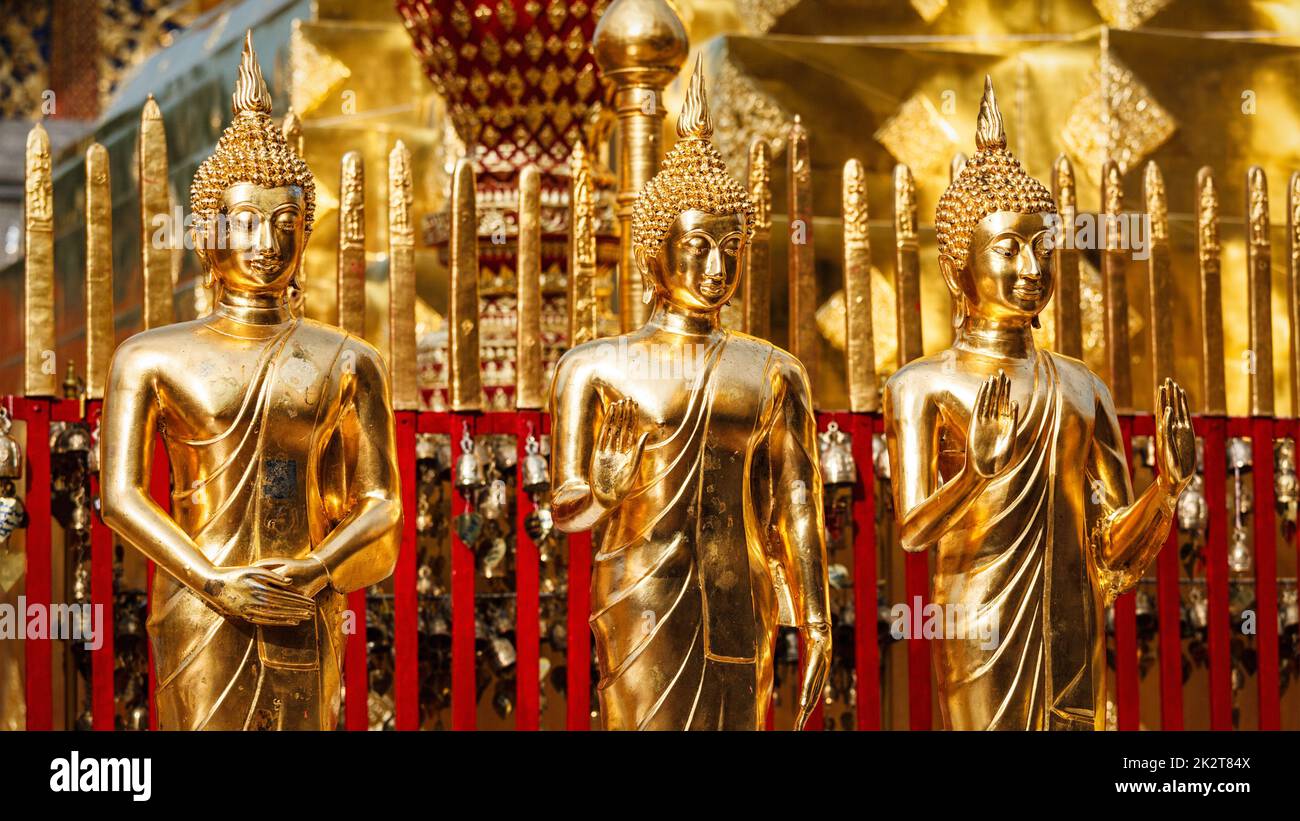 Goldene Buddhastatuen im Wat Phra, die Doi Suthep Stockfoto