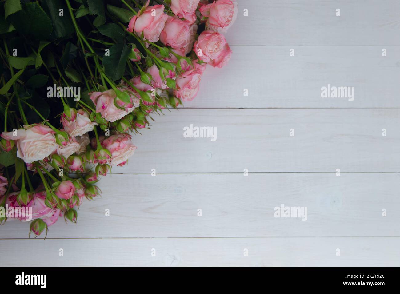Ein großer Strauß rosafarbener Rosen mit Blüten und Knospen liegt an