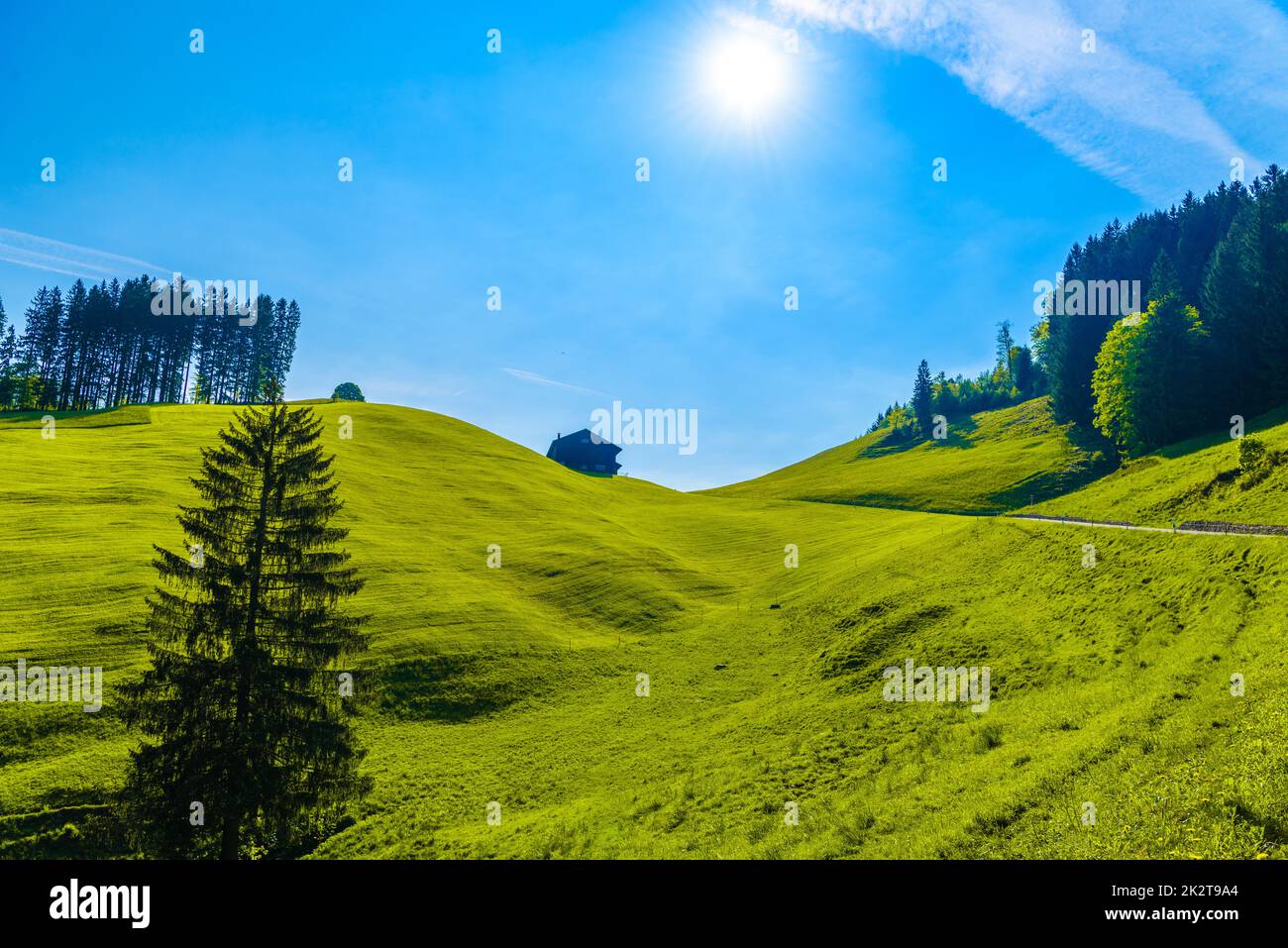 Grüne Felder mit blauem Himmel, Schönengrund, Hinterland, Appenzell Stockfoto