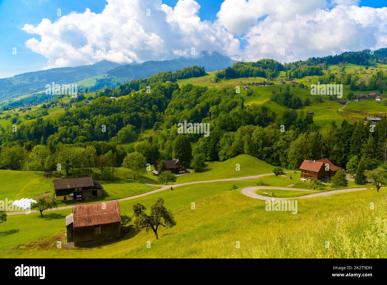 Ferienhaus aus Holz Häuser auf grünen Feldern, Greifer, Werdenberg, St. Gallen Schweiz Stockfoto
