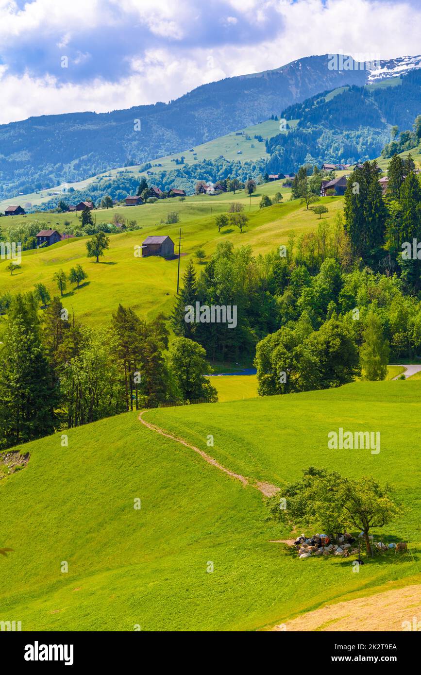Holzhäuser auf grünen Feldern, Grabs, Werdenberg, St. Ga Stockfoto