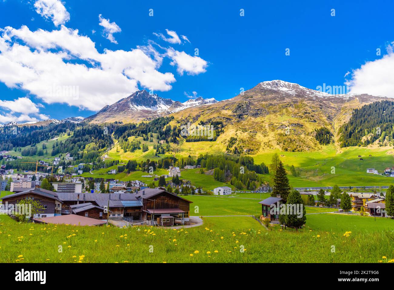 Holzhäuser auf grünen Feldern, Davos, Graubünden, Swit Stockfoto