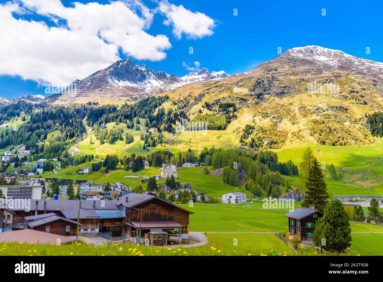 Holzhäuser auf grünen Feldern, Davos, Graubünden, Swit Stockfoto