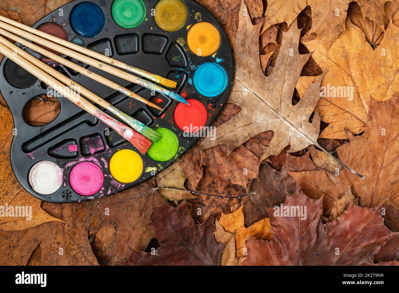 Aquarellfarben auf die Herbstblätter Stockfoto