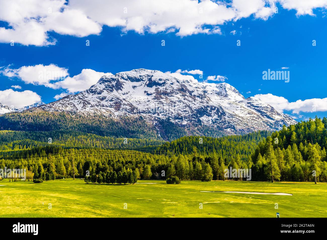 Grüne Felder und Alpenberge mit Wäldern, Samedan, M Stockfoto