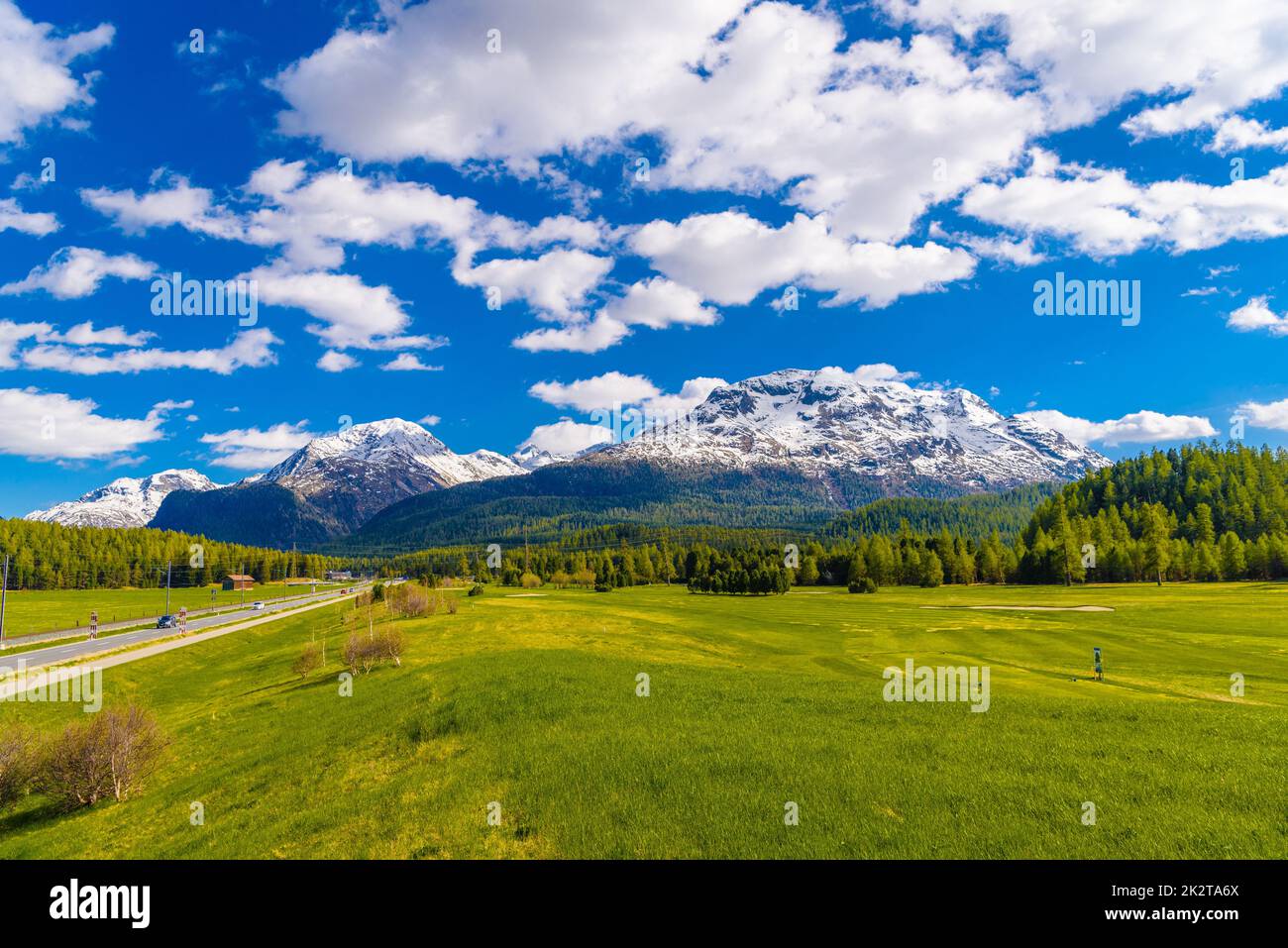 Grüne Felder und Alpenberge mit Wäldern, Samedan, M Stockfoto