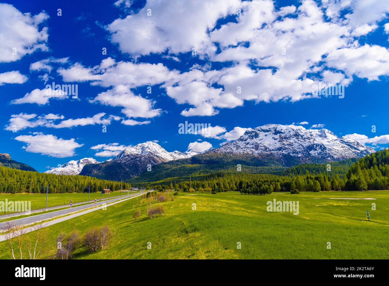 Grüne Felder und Alpenberge mit Wäldern, Samedan, M Stockfoto