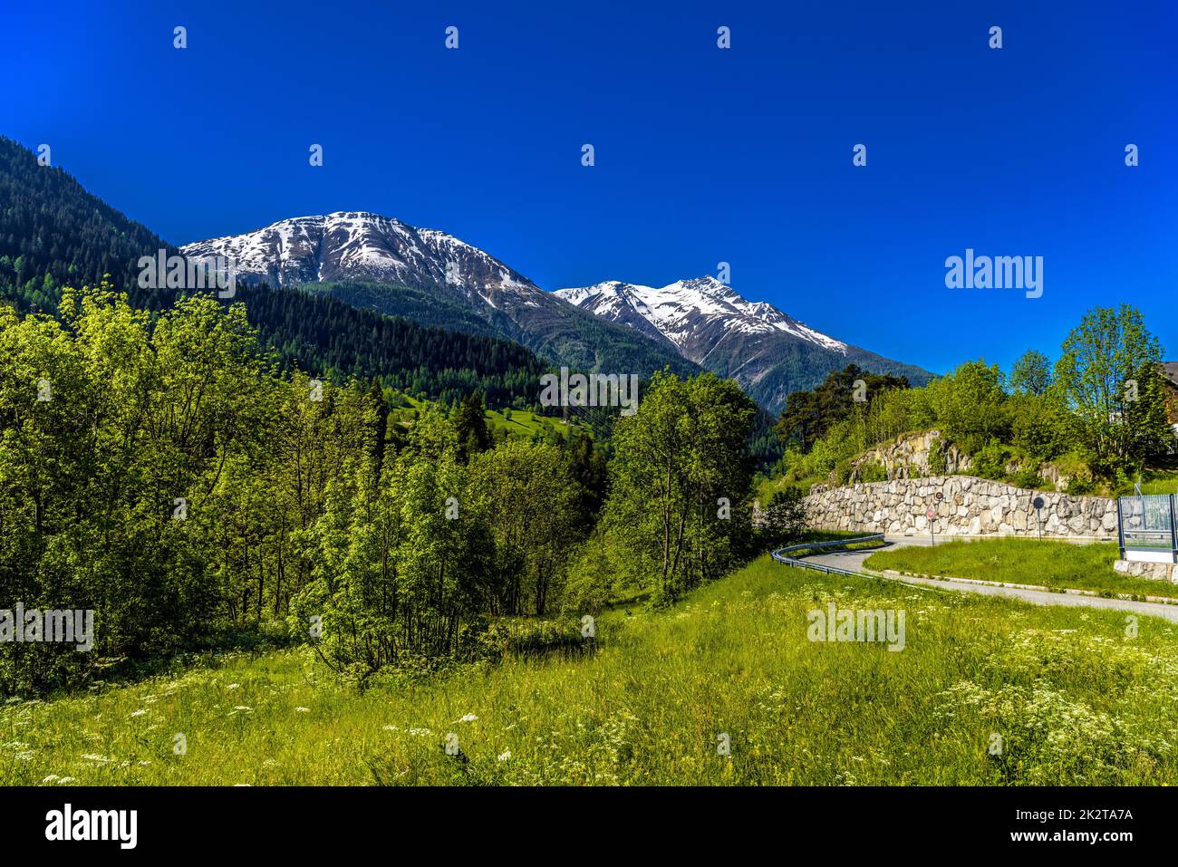 Alpengebirge mit Wald und Feldern, Fiesch, Goms, Wallis, Vala Stockfoto