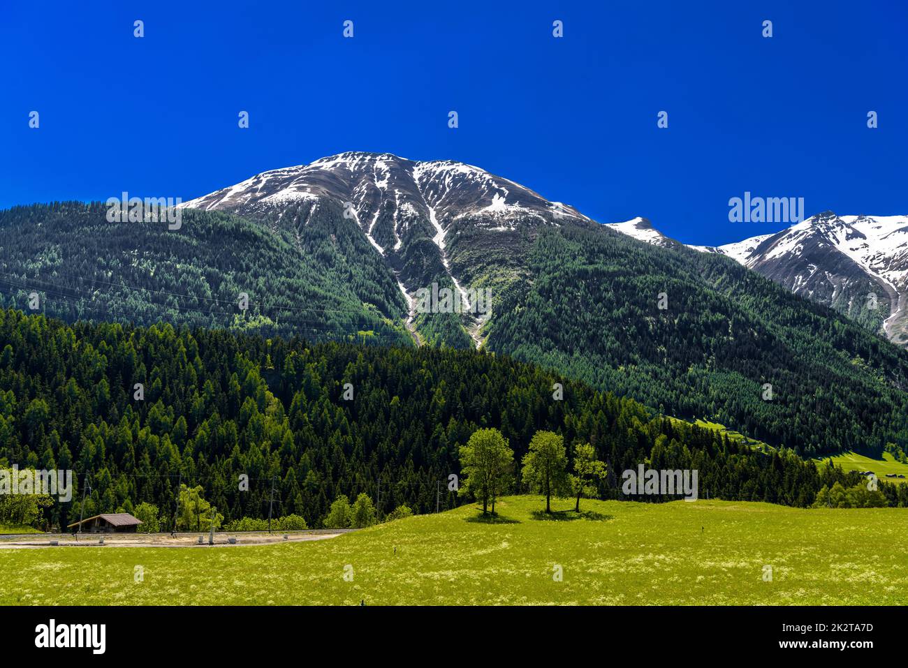 Alpengebirge mit Wald und Feldern, Fiesch, Goms, Wallis, Vala Stockfoto