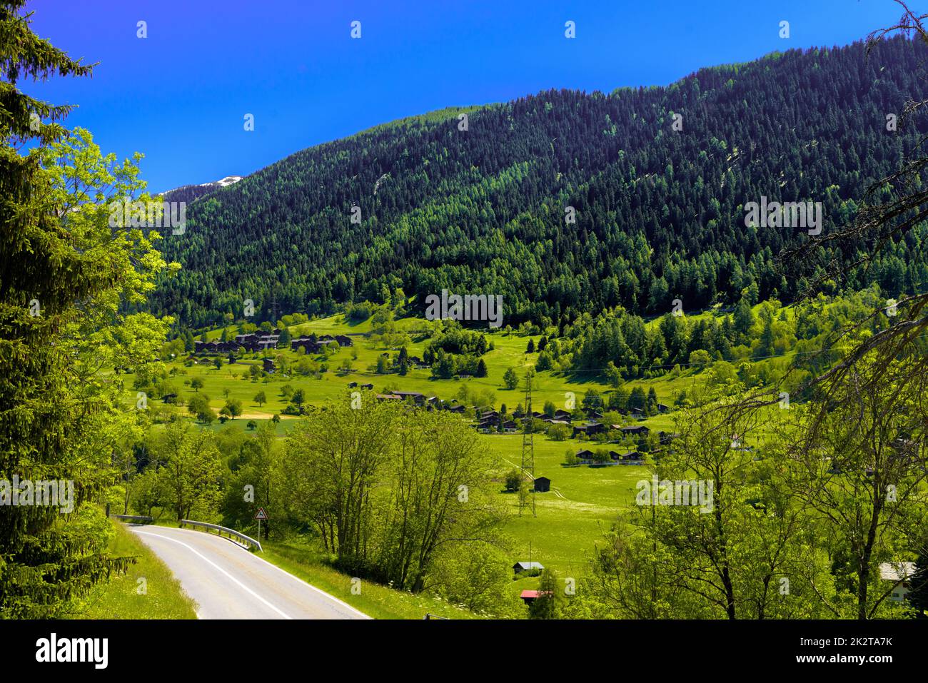 Alpengebirge mit Wald und Feldern, Fiesch, Goms, Wallis, Vala Stockfoto
