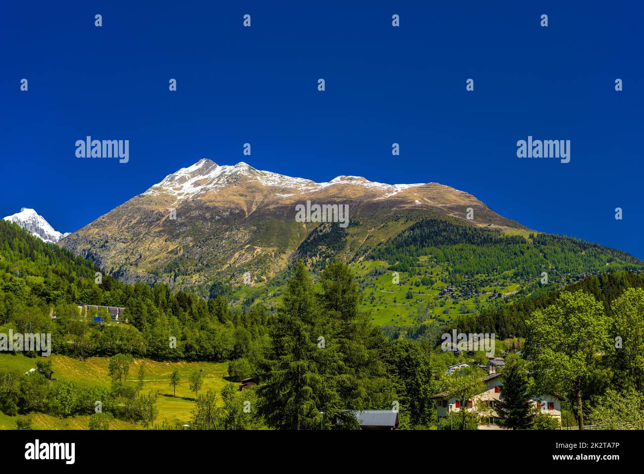 Alpengebirge mit Wald und Feldern, Fiesch, Goms, Wallis, Vala Stockfoto