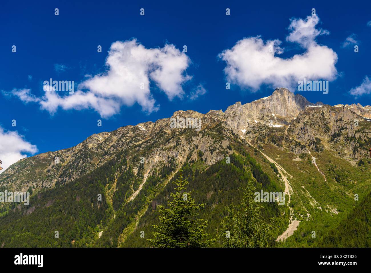 Grüne Berge bedeckt mit Gras, Chamonix, Mont Blanc, Haute-Savoie, Alpen, Frankreich Stockfoto