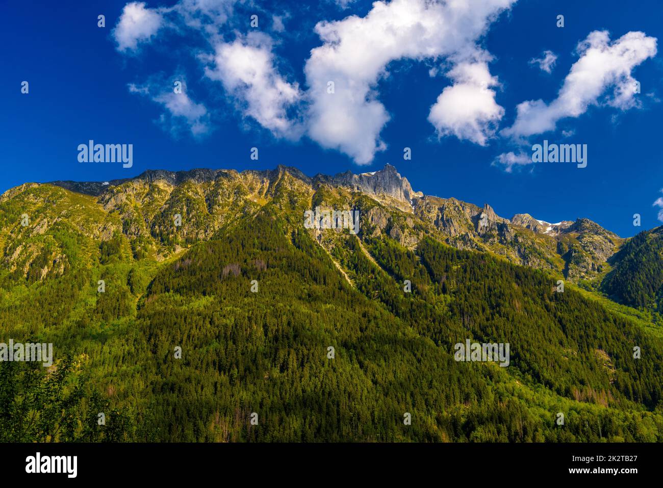 Grüne Berge bedeckt mit Gras, Chamonix, Mont Blanc, Haute-Savoie, Alpen, Frankreich Stockfoto