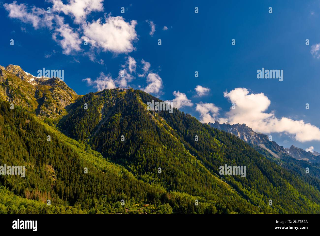 Grüne Berge bedeckt mit Gras, Chamonix, Mont Blanc, Haute-Savoie, Alpen, Frankreich Stockfoto