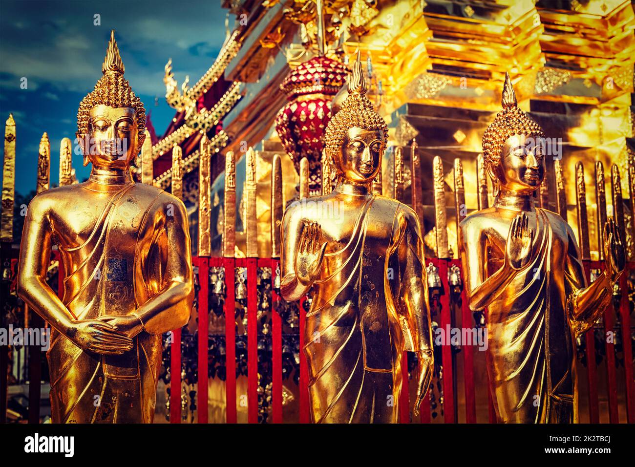 Goldene Buddhastatuen im Wat Phra, die Doi Suthep Stockfoto