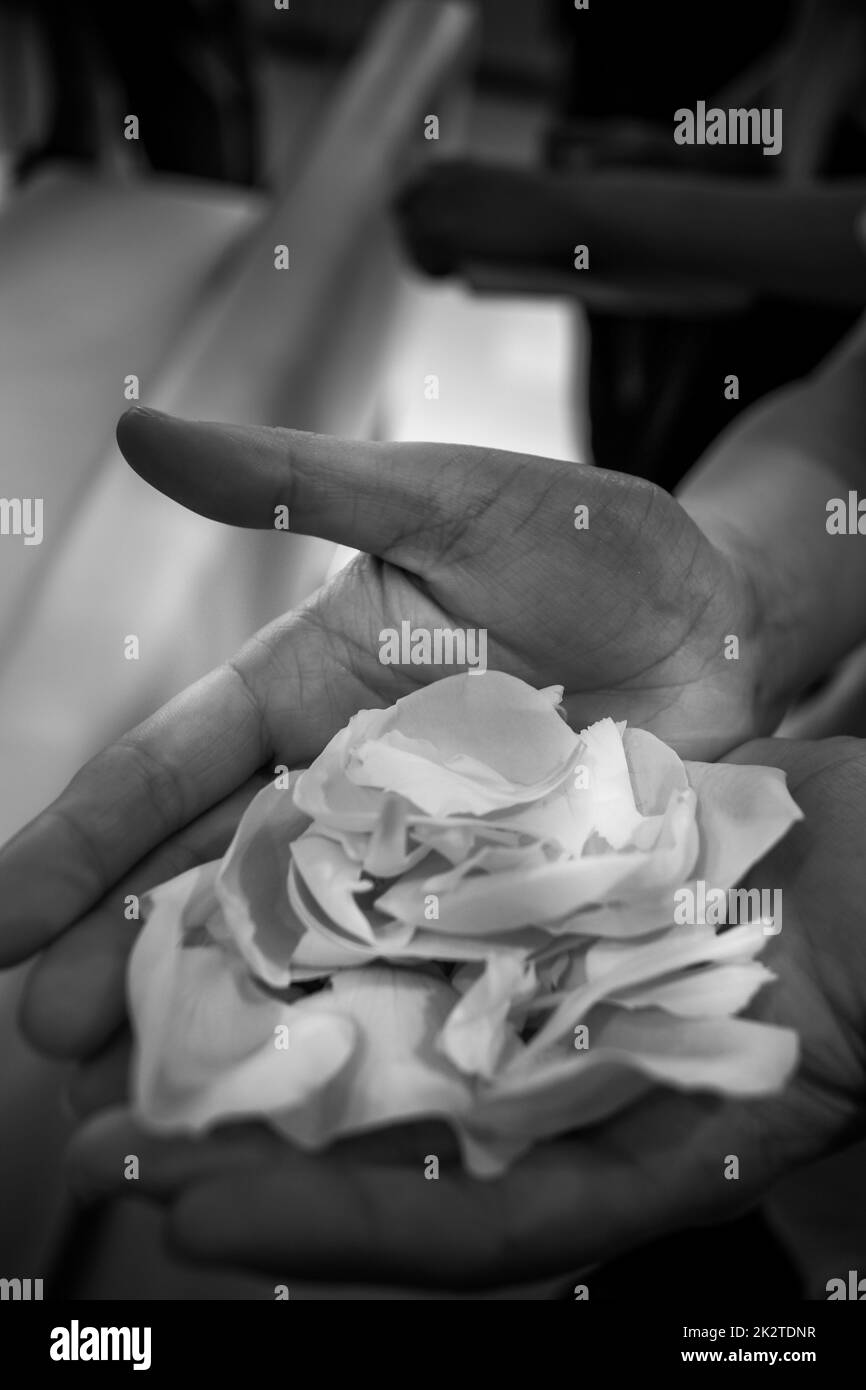 Bild einer weiblichen Hand mit Blütenblättern Stockfoto