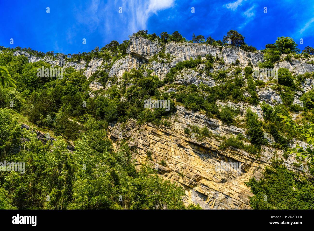 Bäume auf den Klippen, Alpnachstadt, Alpnach, Obwalden, Schweiz Stockfoto