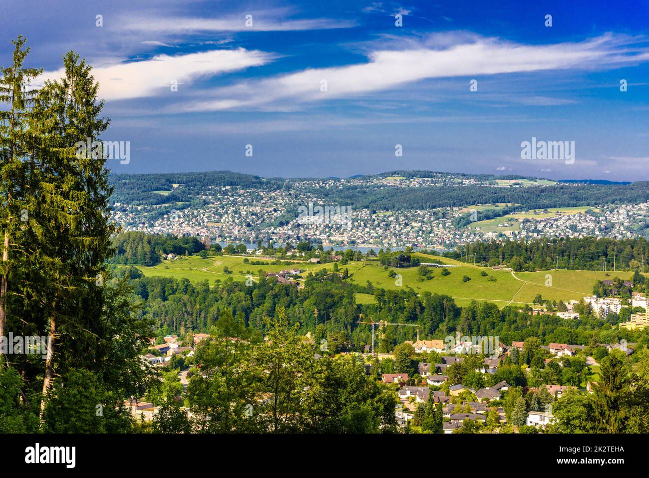 Häuser und Wälder mit Wiesen, Langnau am Albis, Horgen, Zürich, Schweiz Stockfoto