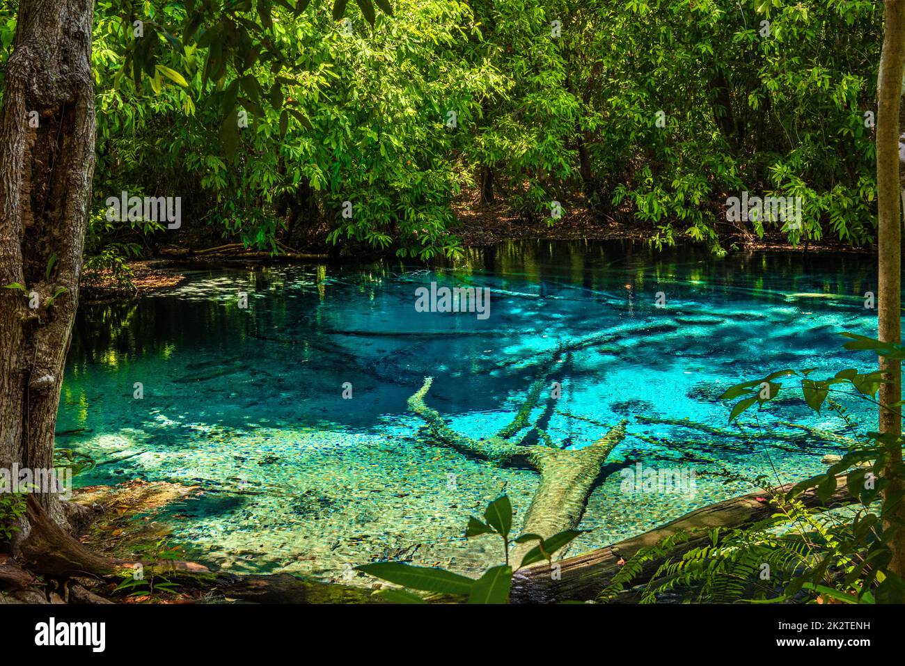 Emerald Pool, Yosemite Nationalpark, Krabi, Thailand Stockfoto