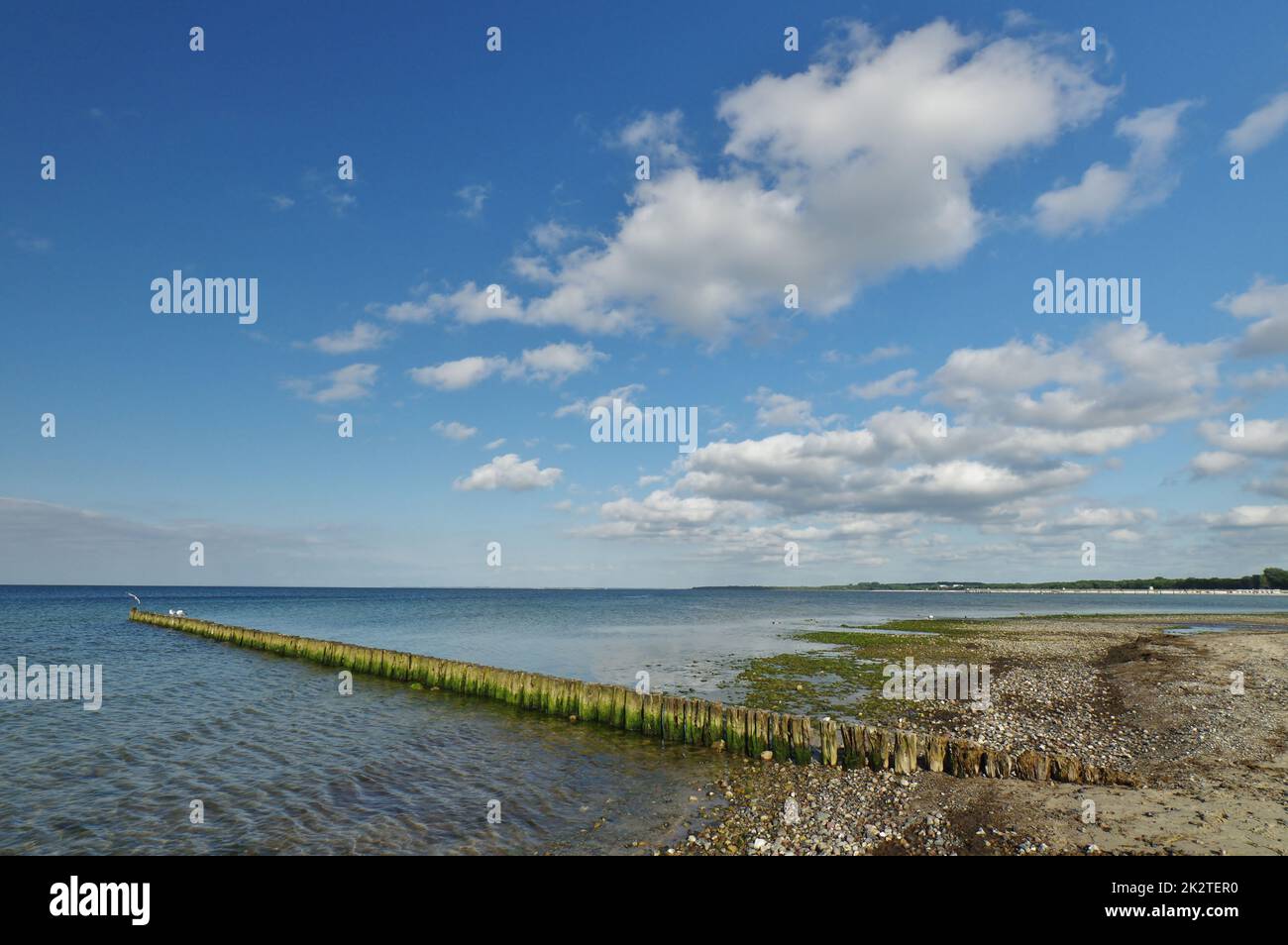 Am natürlichen Strand, Boltenhagen, Bezirk Redewisch, Bucht von Wismar, Nordwestmecklenburg, Mecklenburg-Vorpommern, Deutschland Stockfoto