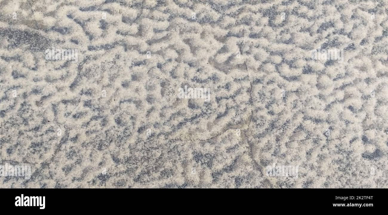 Abstrakter Winterhintergrund: Frostmuster auf dem Boden Stockfoto