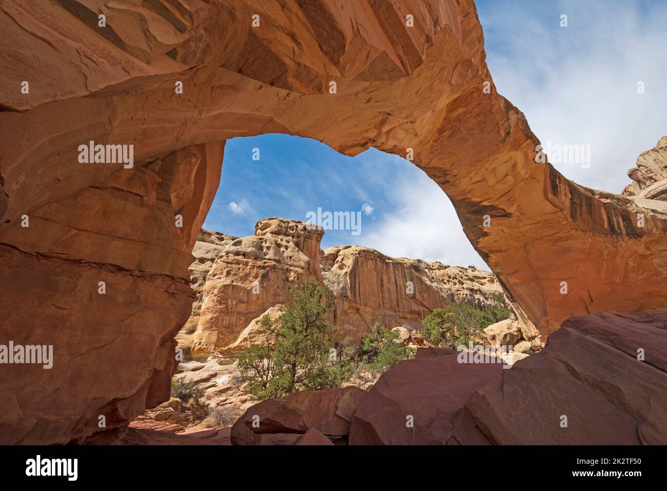 Natural Bridge als Wüstenfenster Stockfoto