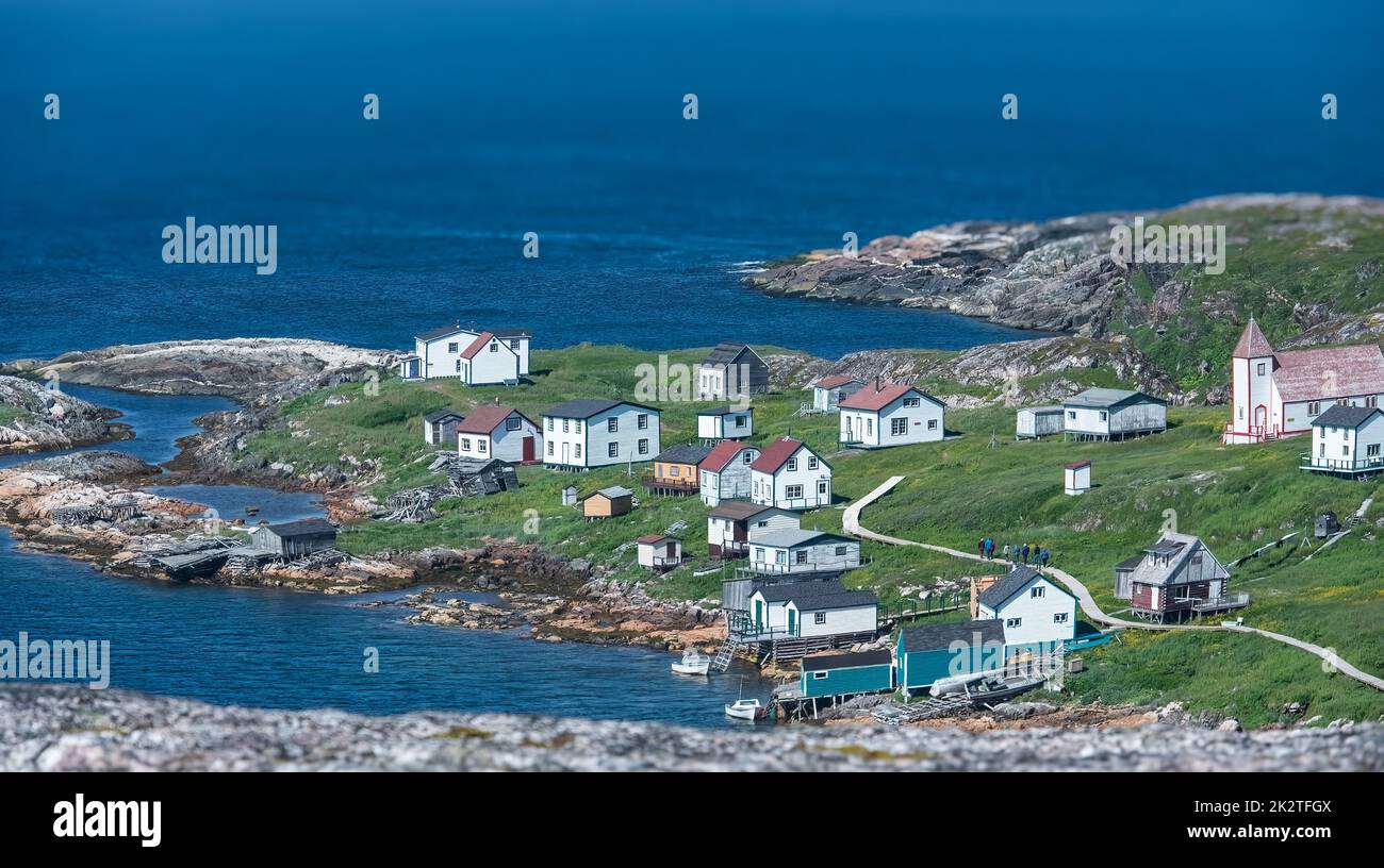 Newfoundland labrador Fotos und Bildmaterial in hoher Auflösung Alamy