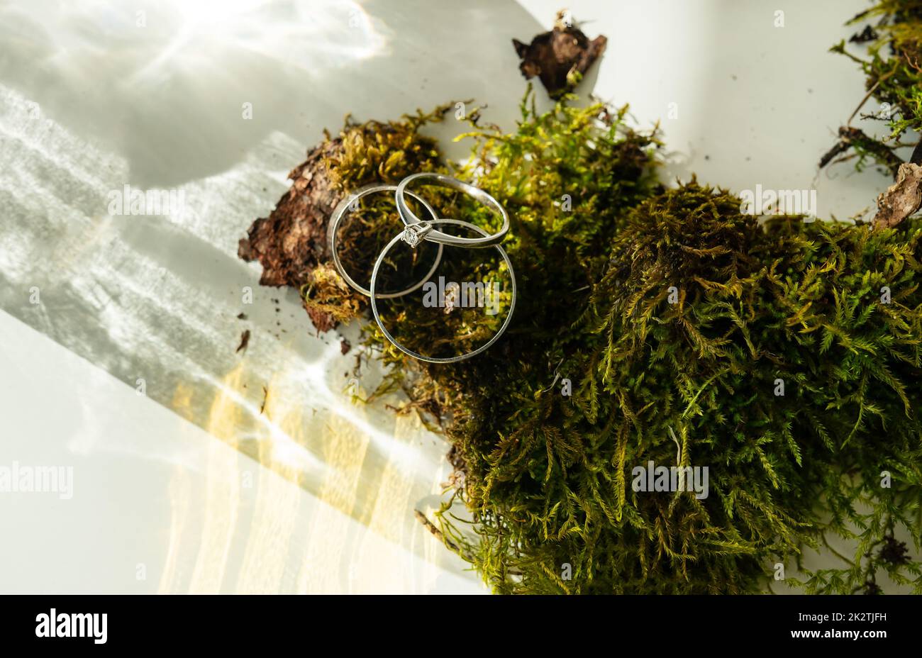 Ein eleganter Diamantring und zwei Eheringe auf grünem Moos. Schöne Highlights und Sonnenlicht, weicher und selektiver Fokus. Heiratsantrag-Konzept. Stockfoto