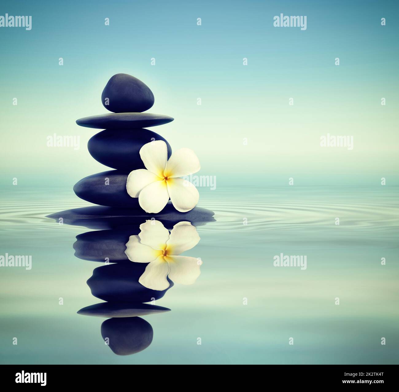 Zen Steinen mit frangipani Stockfoto