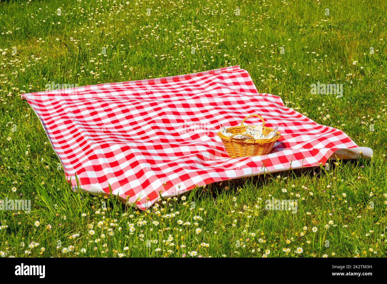 Rotes Picknicktuch. Rote karierte Picknickdecke mit leerem Korb auf einer Wiese mit blühenden Gänseblümchen. Schöner Hintergrund für die Produktplatzierung oder -Montage. Stockfoto
