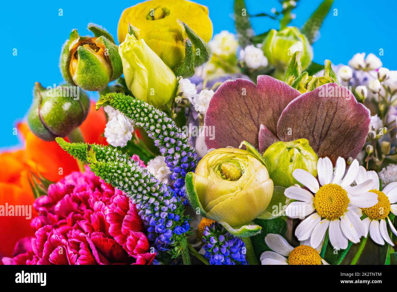 Frühling-Blumen-arrangement Stockfoto