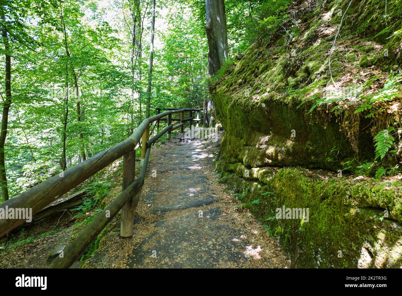 Wanderweg zwischen Sandsteinfelsen im Nationalpark Böhmische Schweiz, Tschechien Stockfoto