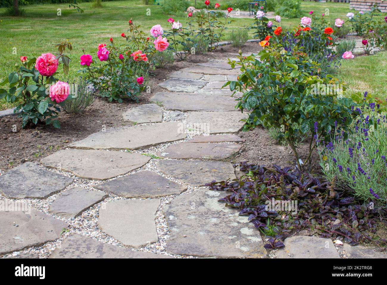 Gepflasterter Gartenweg und Blumen Stockfoto