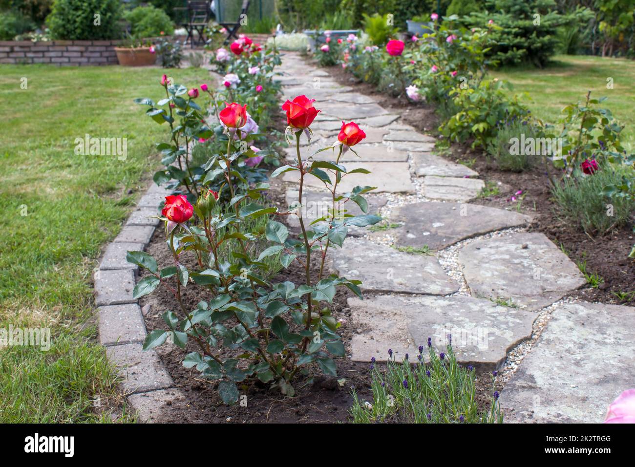 Gepflasterter Gartenweg und Blumen Stockfoto