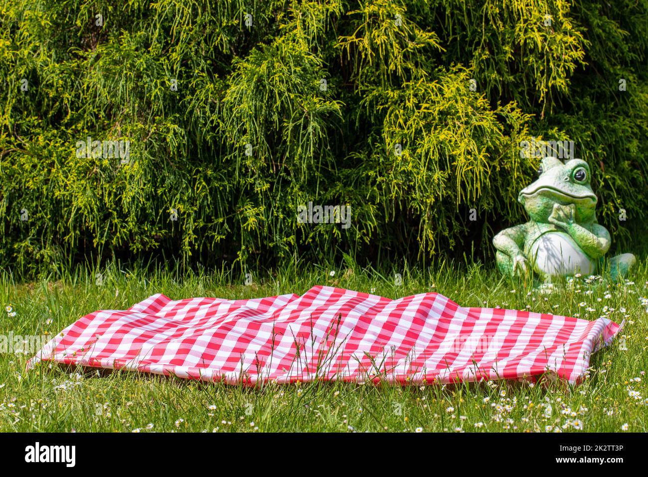 Rotes Picknicktuch. Rote karierte Picknickdecke auf einer Wiese mit blühenden Gänseblümchen. Schöner Hintergrund für die Produktplatzierung oder -Montage. Frosch im Hintergrund. Stockfoto