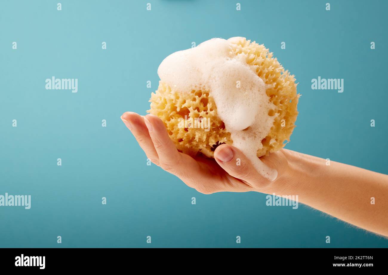 Ernte Frau mit natürlichem Meeresschwamm in der Hand Stockfoto