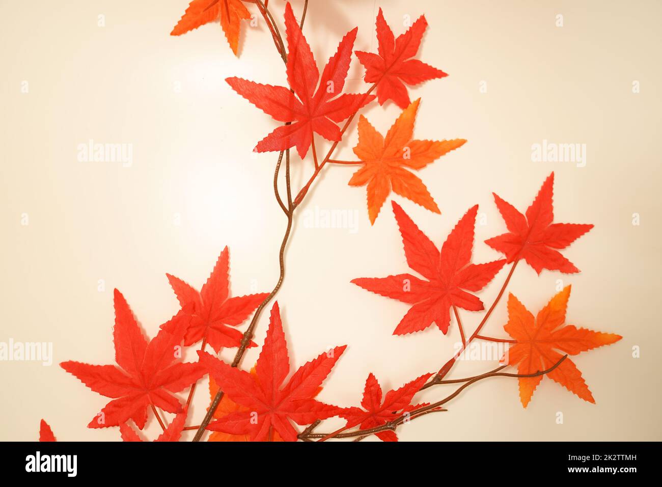 Bild: Herbstblätter (Herbstgedichte) Stockfoto