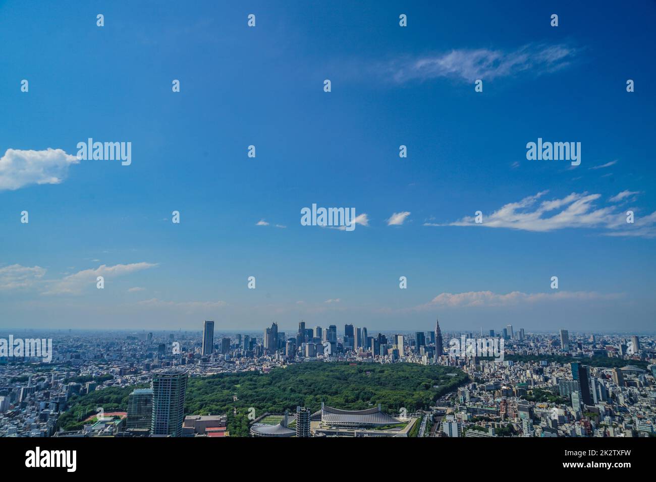 Der Blick vom Shibuya Sky Observatorium Stockfoto
