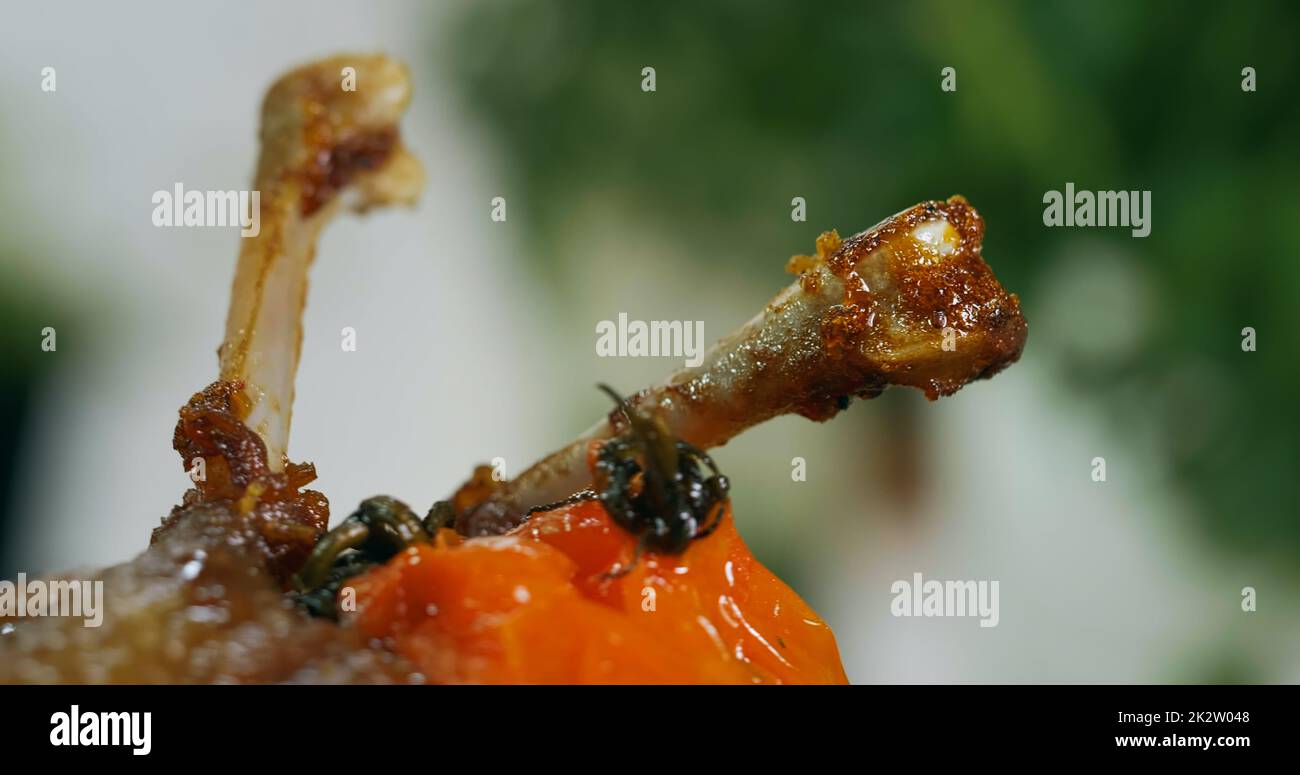 Nahaufnahme Entenfleisch Steak gekocht Details zum Kochen. Stockfoto