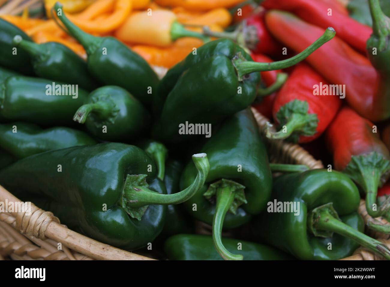 Poblano Peppers mit asiatischen roten und gelben Chilischoten Stockfoto