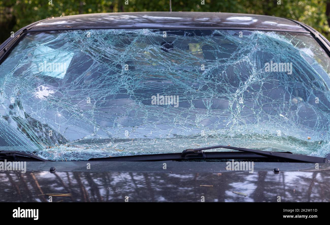 Nahaufnahme eines Autos mit gebrochener Windschutzscheibe nach einem tödlichen Unfall. Folge eines tödlichen Autounfalls. Gefahr durch Kraftfahrzeuge. Leichtsinniges, gefährliches Fahren. Fahrzeug nach einem Unfall mit einem Fußgänger. Stockfoto